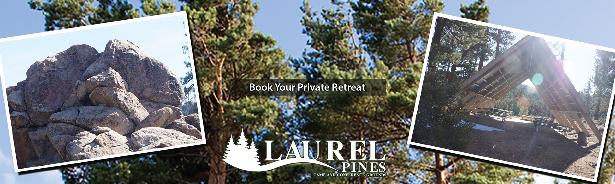 Laurel Pines